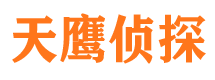 汝城侦探公司